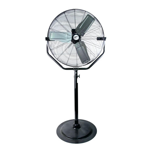 fan